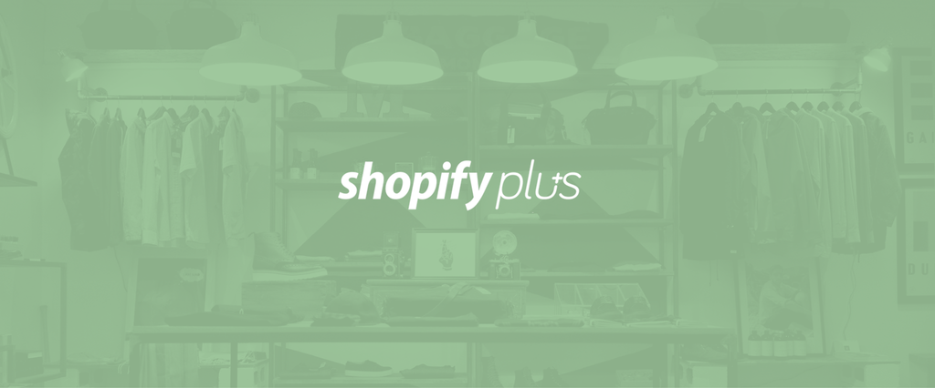 Shopify Plus Liz = 👏